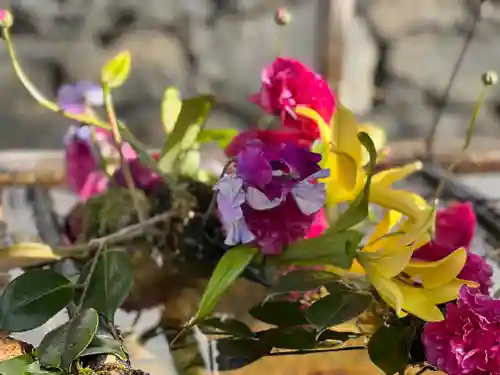 興聖寺（興聖寶林禅寺）の手水舎