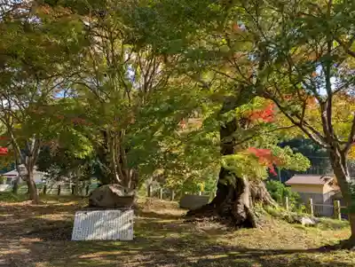 城上神社(島根県)