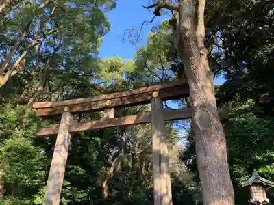 明治神宮の鳥居