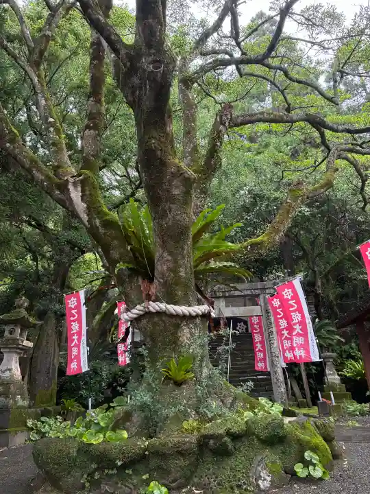 吾平津神社(宮崎県)