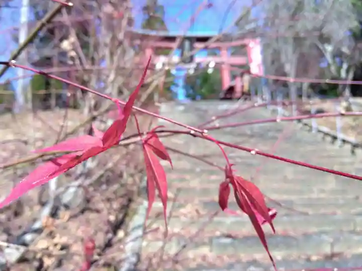 賀茂神社(福井県)