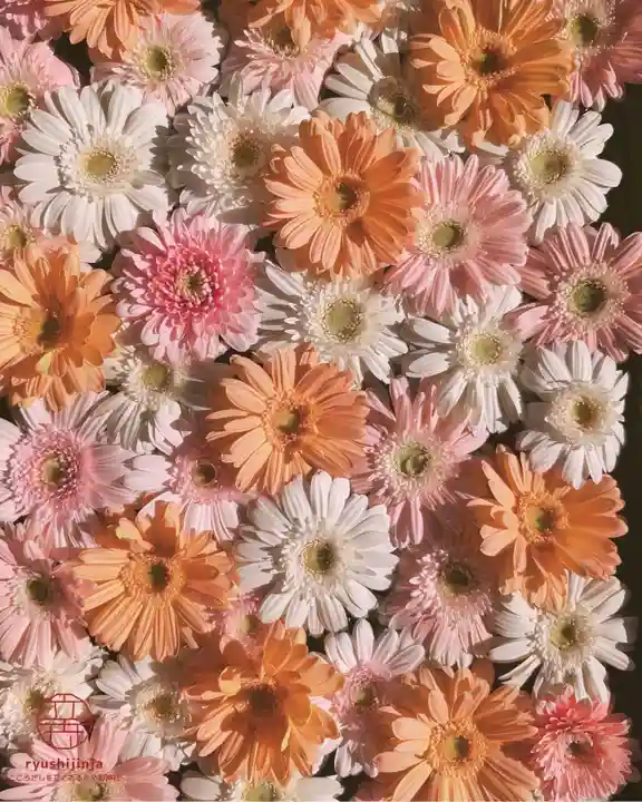 立志神社(滋賀県)