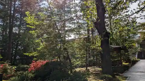 高台寺の庭園