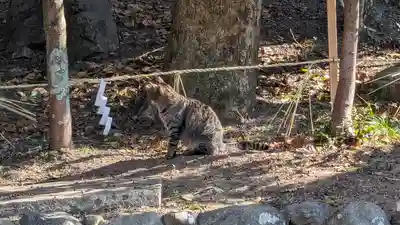 八坂神社(祇園さん)(京都府)