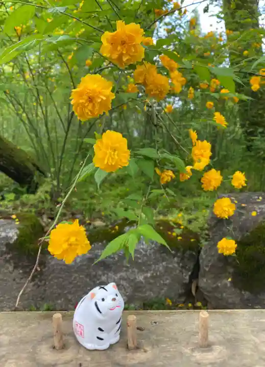 松尾大社のおみくじ