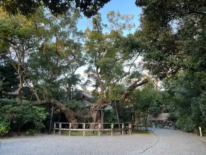 伊勢神宮外宮(豊受大神宮)の自然