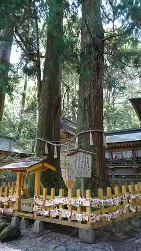 高千穂神社の絵馬