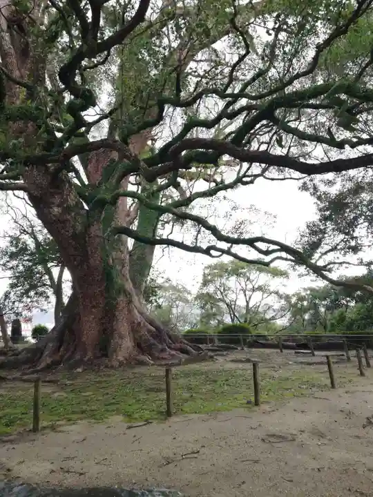 高城神社の自然