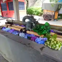 楽法寺（雨引観音）の手水