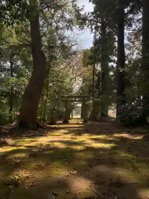 宗像神社(千葉県)