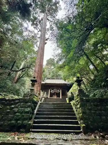 八幡宮來宮神社(静岡県)