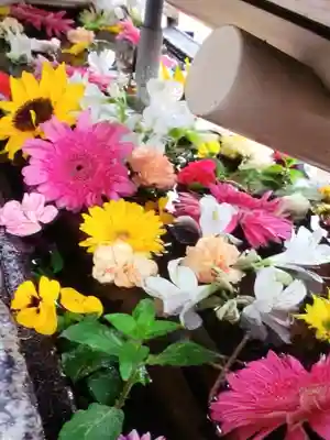 鳩森八幡神社の手水舎