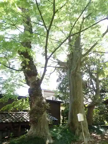 御馬神社の庭園