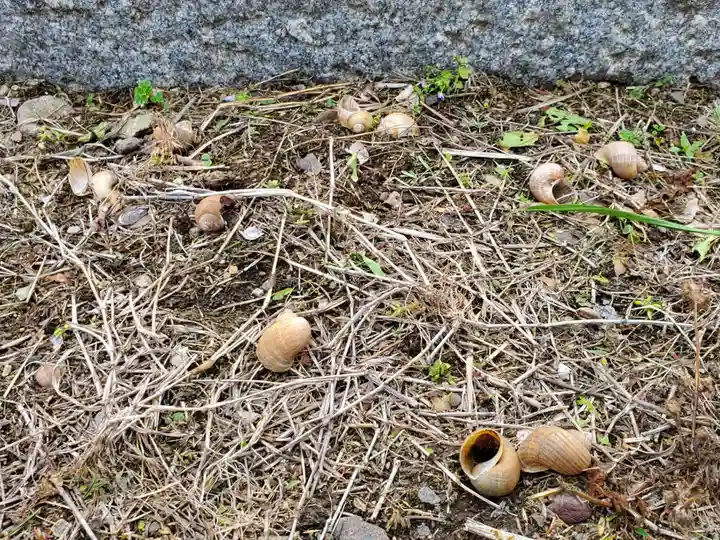 大芋神社のその他建物