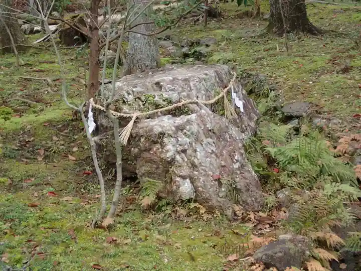 土佐神社の自然