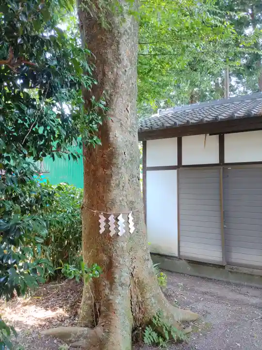 祖母井神社(栃木県)