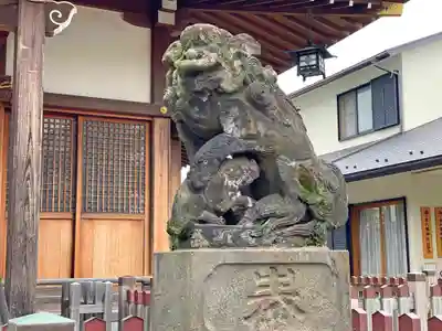 鵜ノ木八幡神社の狛犬