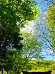 伊保田神社(茨城県)