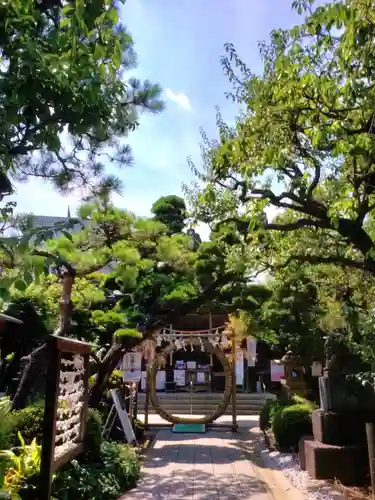 鳩森八幡神社の体験その他