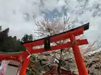 金櫻神社(山梨県)