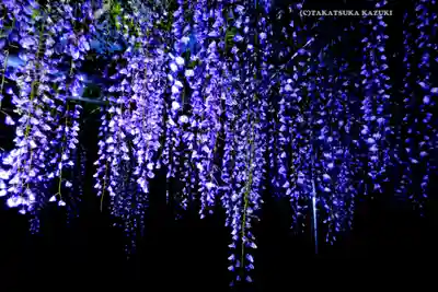 白旗神社(神奈川県)
