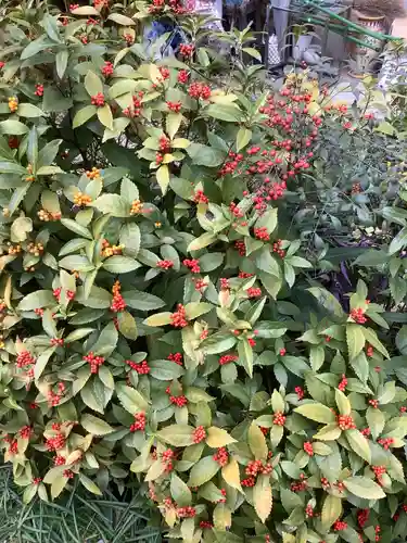 三輪神社の自然