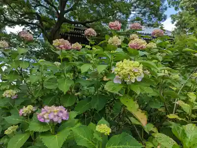 智積院(京都府)