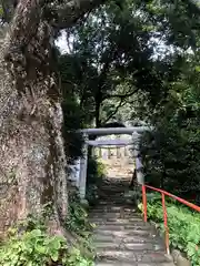 駒宮神社の鳥居