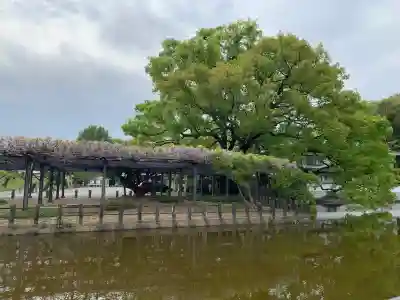 照明寺　(反町薬師尊)(群馬県)