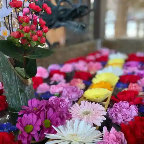 札幌諏訪神社の手水