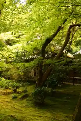 祇王寺(京都府)