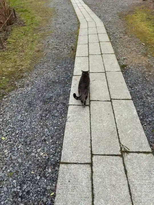 鷲子山上神社の動物