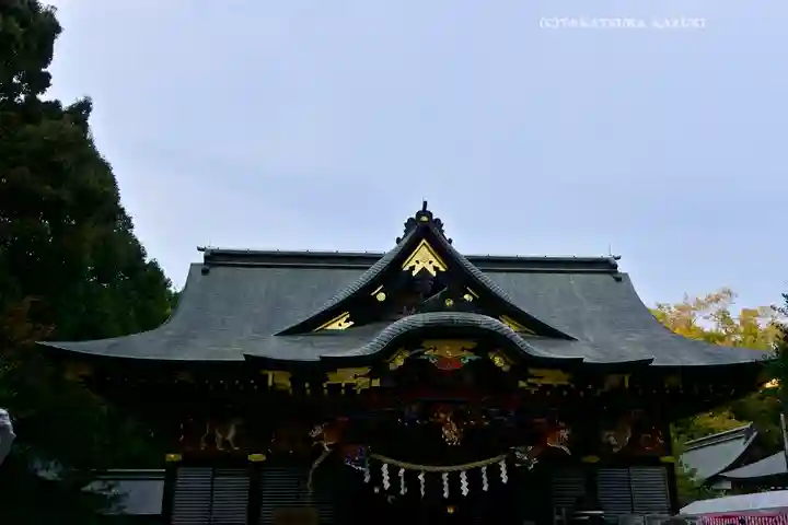 秩父神社(埼玉県)
