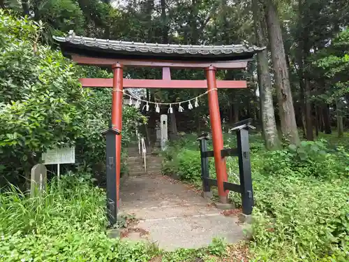 氷川神社の鳥居