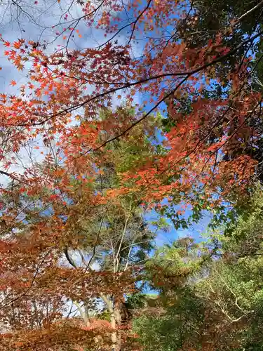 犬山寂光院の自然