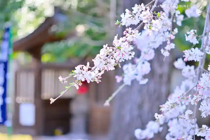 寛永寺開山堂(東京都)