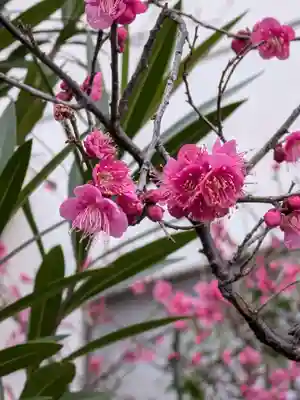 麻布氷川神社(東京都)