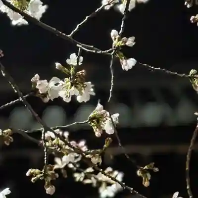 伊勢の国 四天王寺(三重県)