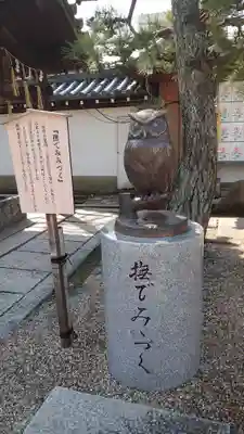 射楯兵主神社(兵庫県)