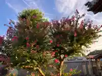 真言宗 善通寺派 薬王寺(香川県)