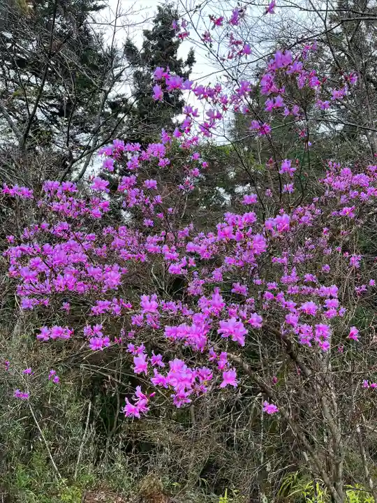 八王寺(埼玉県)