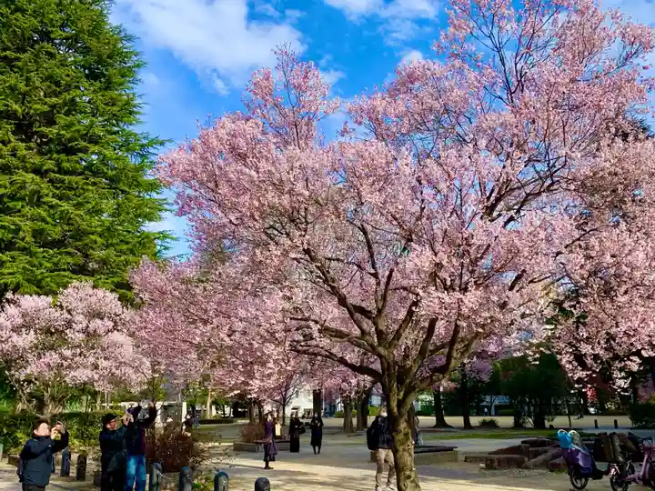 瀧澤神社(宮城県)