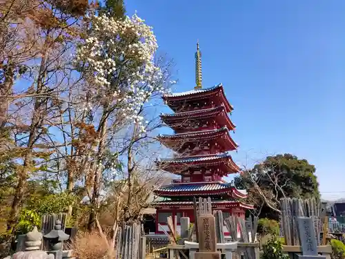 本土寺(千葉県)