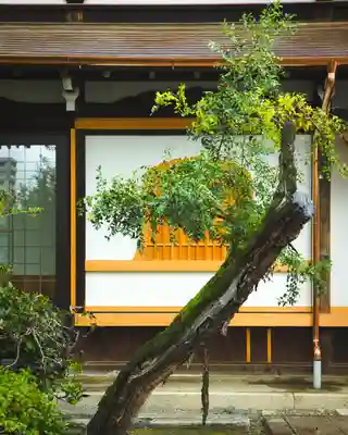 善徳寺(栃木県)