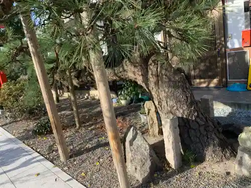 久之浜諏訪神社の自然