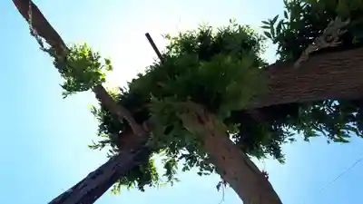 鳥海神社の自然