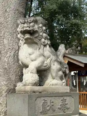 大星神社(長野県)