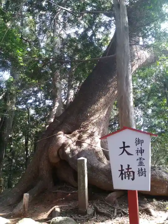 住吉神社の自然