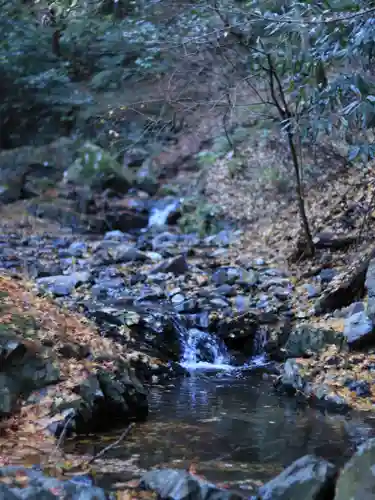 多度大社の自然