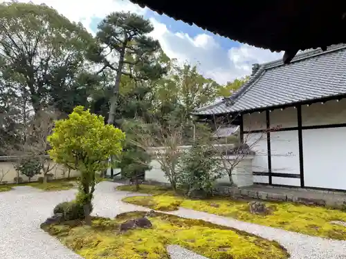 廬山寺（廬山天台講寺）(京都府)